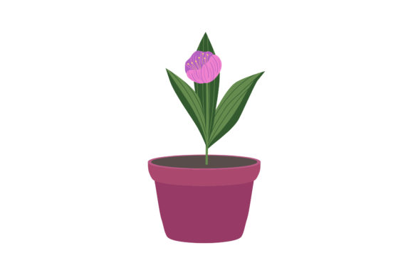 Flowers Beauty Flowerpot Graphics and Illustrations Review