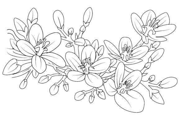 Flowers Drawing and Sketch with Line-art Graphics for Illustrations