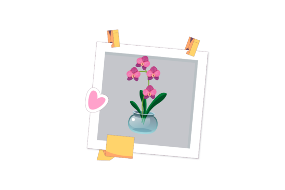 Garden Flowers Natural Photos Frame Art Review