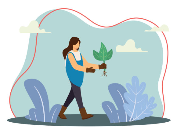 Illustration of Planting Flowers Graphics and Illustrations Review