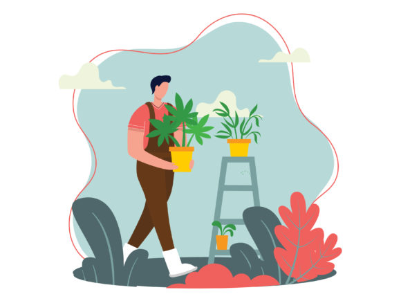 Plant Flowers in the Planting Medium Graphics and Illustrations Review