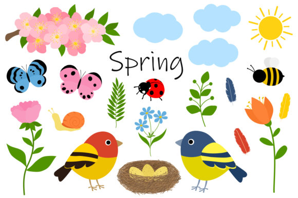 Spring Vector. Flowers Birds Nest Insect Graphics & Illustrations